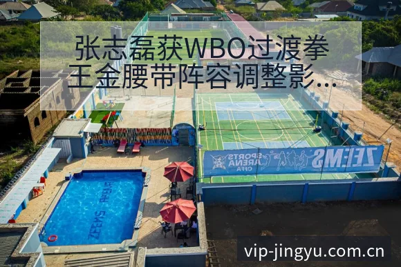张志磊获WBO过渡拳王金腰带阵容调整影响分析及历史表现梳 - 鲸鱼直播
