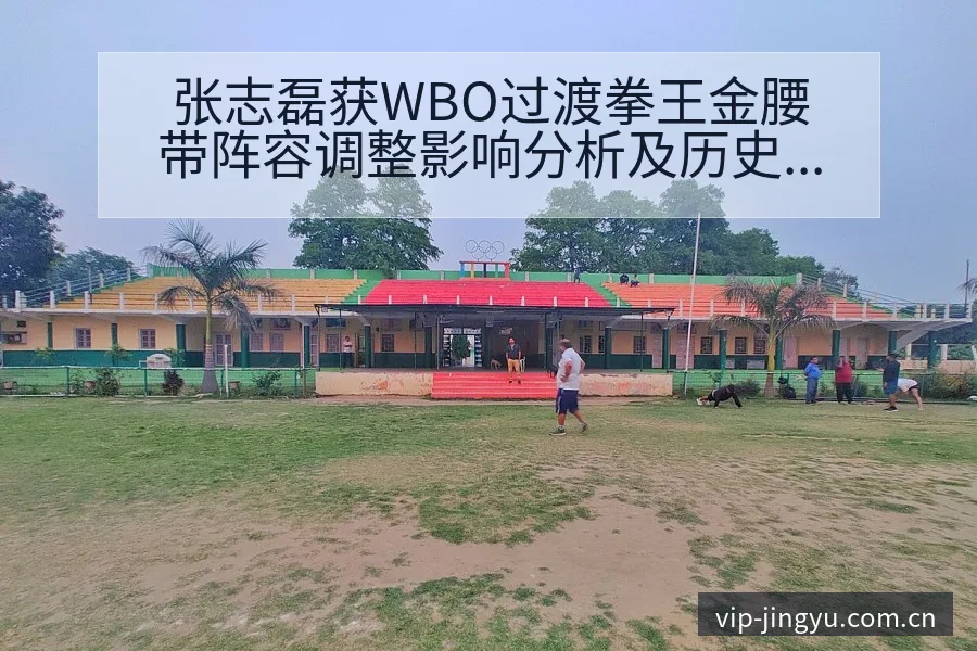 张志磊获WBO过渡拳王金腰带阵容调整影响分析及历史表现梳 - 鲸鱼直播