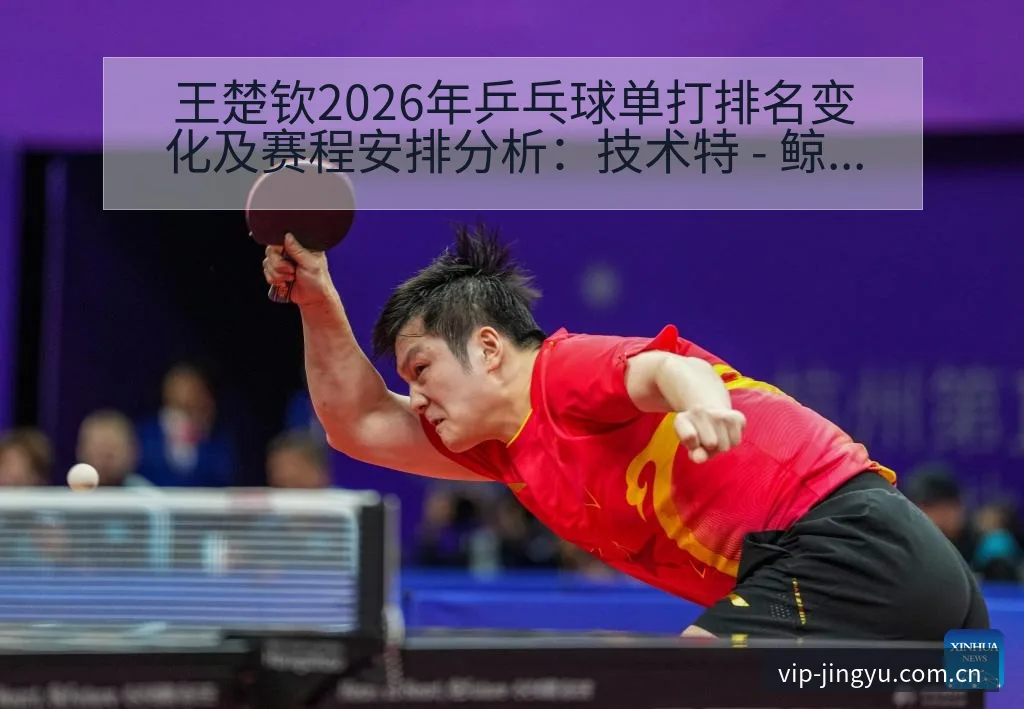 王楚钦2026年乒乓球单打排名变化及赛程安排分析：技术特 - 鲸鱼直播